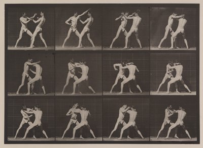 Plate Number 340. Boxing; Open Hand by Eadweard Muybridge